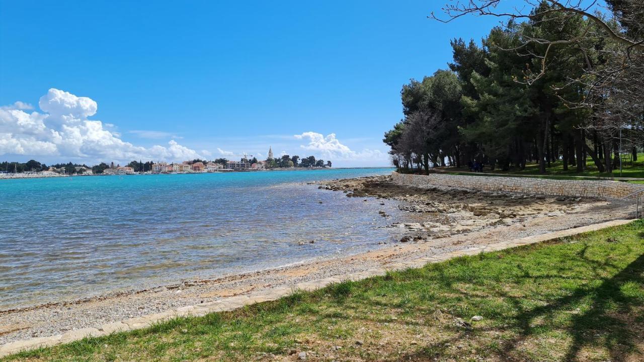 Apartments Kivi Novigrad Istria エクステリア 写真