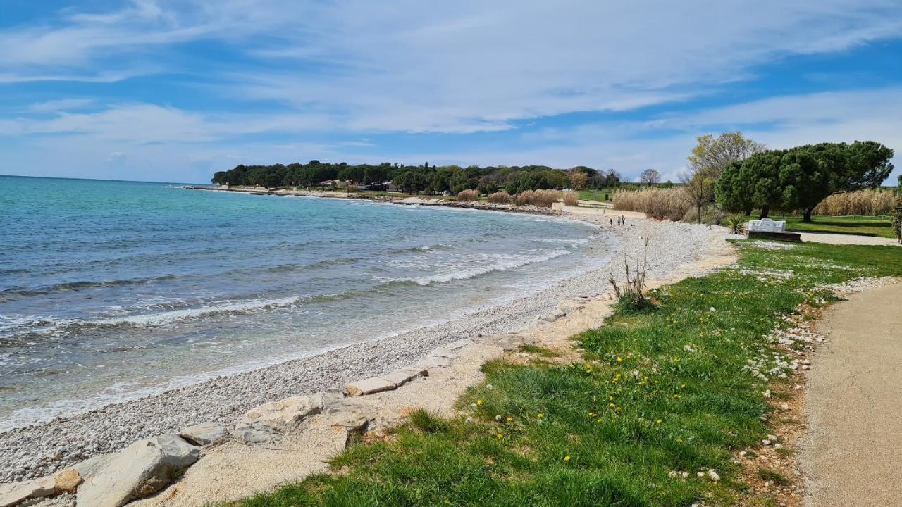 Apartments Kivi Novigrad Istria エクステリア 写真