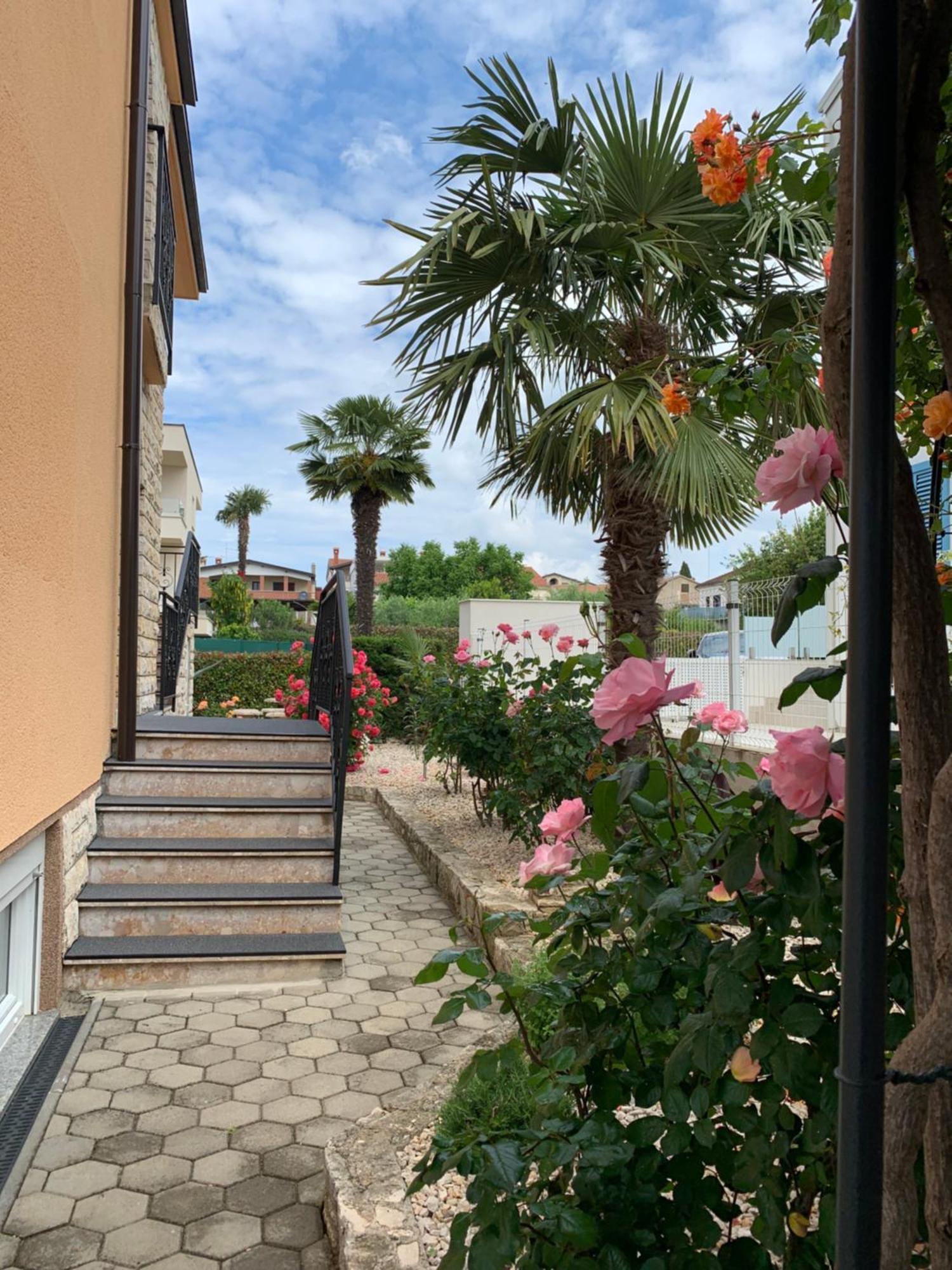 Apartments Kivi Novigrad Istria エクステリア 写真