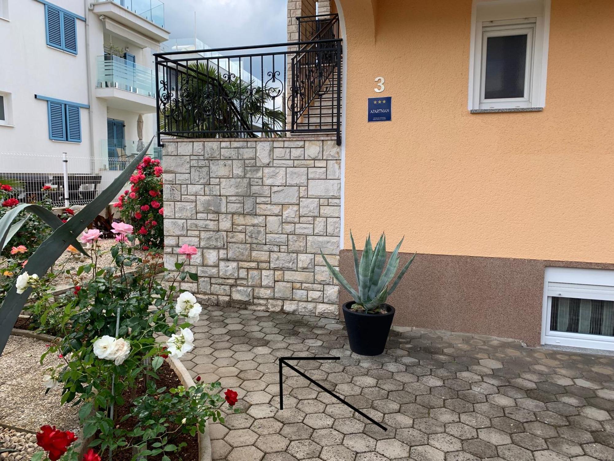 Apartments Kivi Novigrad Istria エクステリア 写真