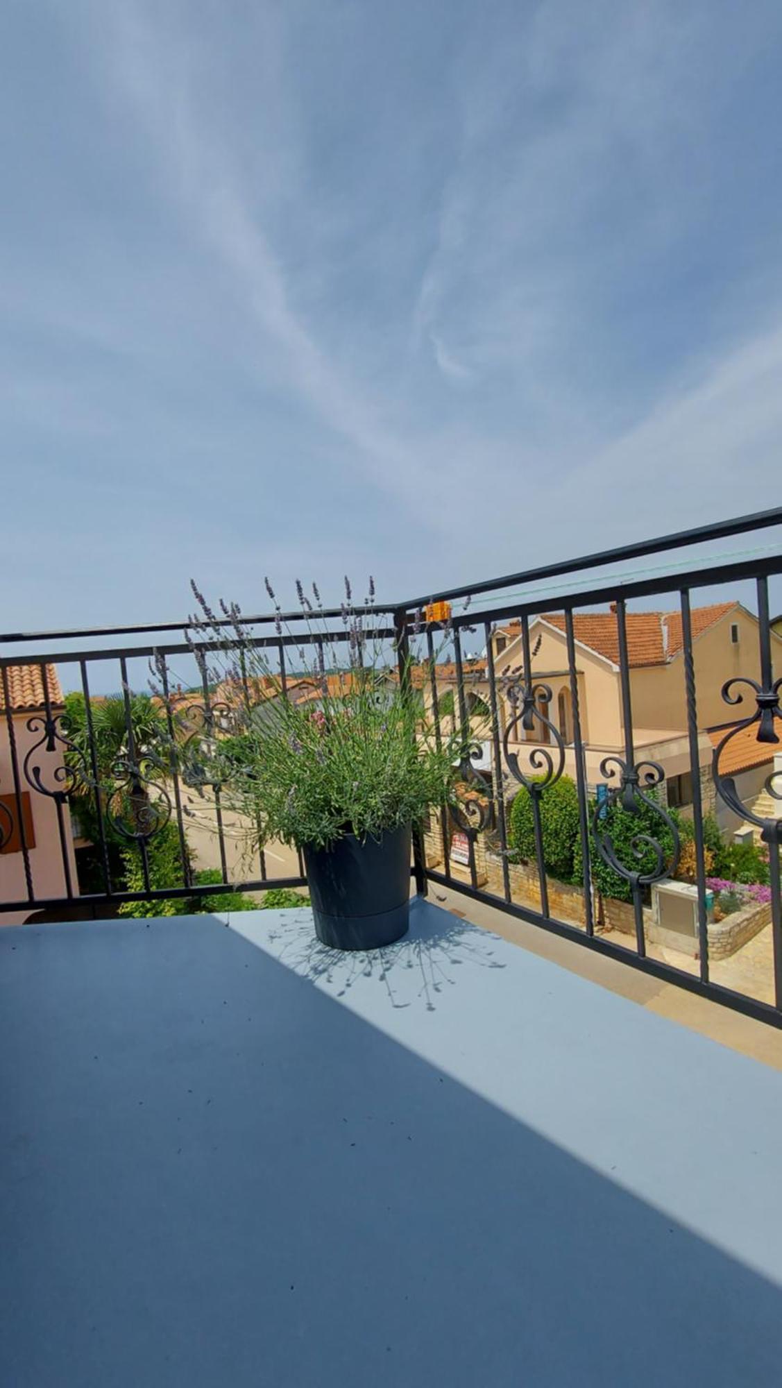 Apartments Kivi Novigrad Istria エクステリア 写真