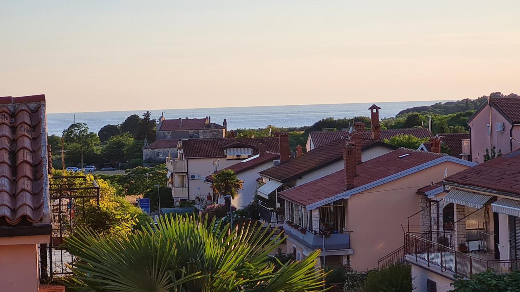 Apartments Kivi Novigrad Istria エクステリア 写真